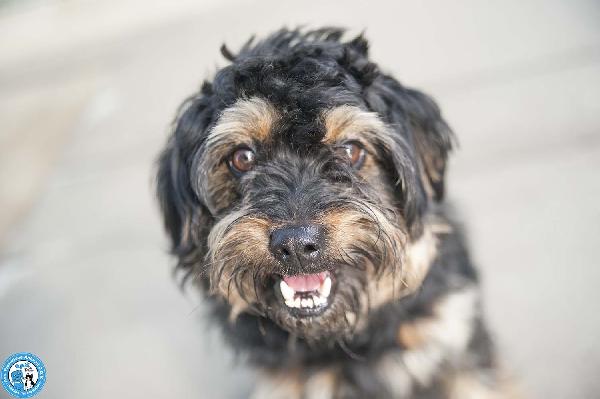 Teo: il riscatto di un piccolo guerriero Foto 2